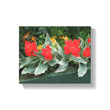 Belos tulipas vermelhos florais modernos brilhante