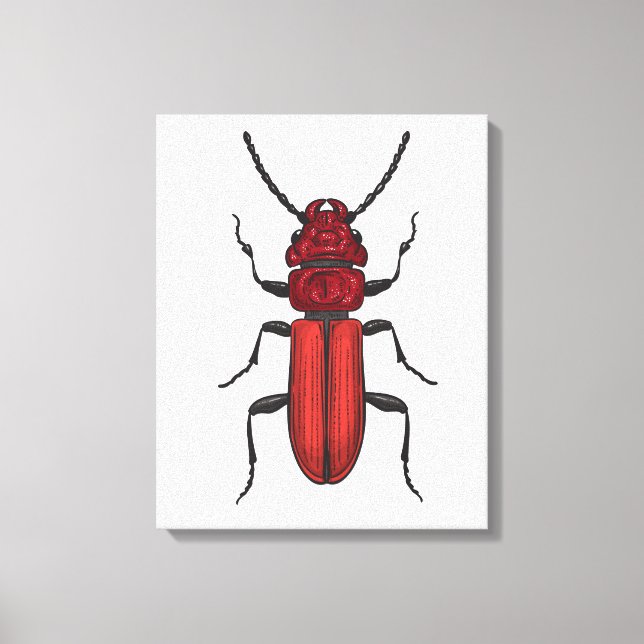 Impressão Em Tela Besouro-vermelho (Frente)