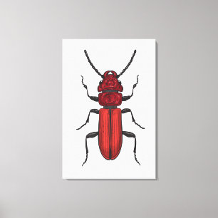 Impressão Em Tela Besouro vermelho