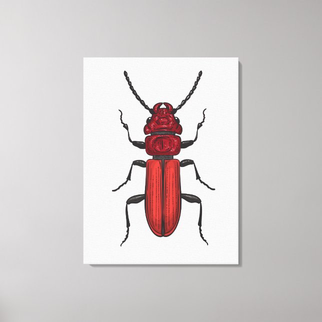 Impressão Em Tela Besouro-vermelho (Frente)