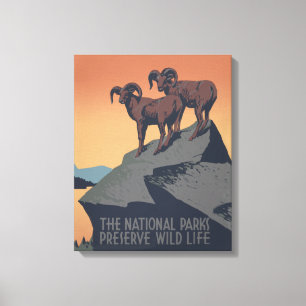 Impressão Em Tela Bighorn Sheep American West Willife