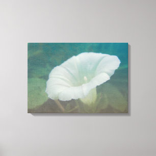 Impressão Em Tela Bindweed Branco - A Glória da Manhã Perene Selvage