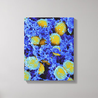 Impressão Em Tela biologia microbiologia abstrato art poster ou canv