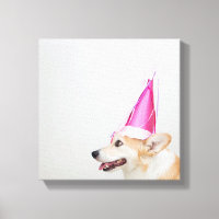 Birthday Pembroke Welsh Corgi