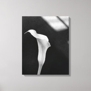 Impressão Em Tela Black and White Calla Lily