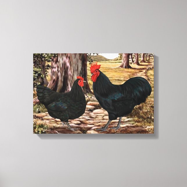 Impressão Em Tela Black Australorp Rooster and Hen in Wooded Setting (Frente)