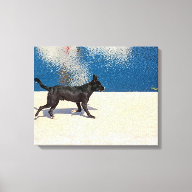 Impressão Em Tela Black Dog Walking by Deep Blue Water (Frente)