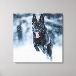 Impressão Em Tela Black German Shepherd in snow Duvet Cover