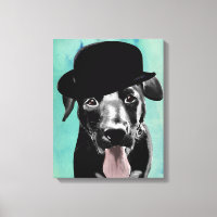Black Labrador in Bowler Hat