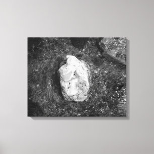 Impressão Em Tela Black & White Rock in the Lake Water 16x20