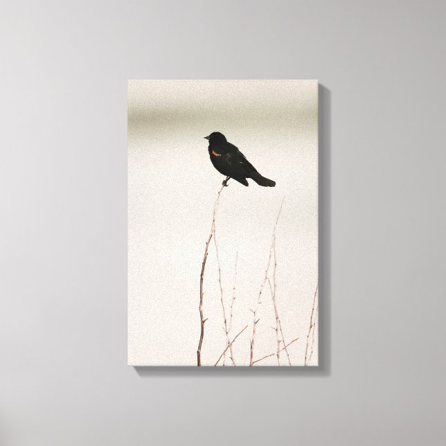 Impressão Em Tela Blackbird Com Ala Vermelha Empoleirado na Ramifica (Frente)