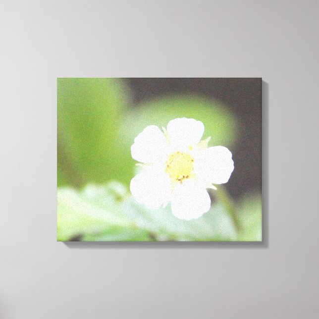 Impressão Em Tela Bloom de Morango Selvagem Branco (Frente)