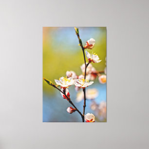 Impressão Em Tela Blossomas de damascos japoneses