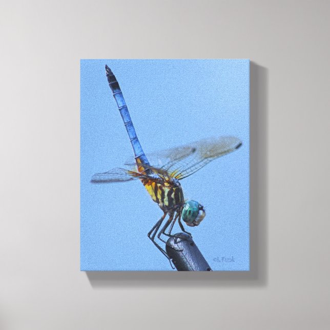 Impressão Em Tela Blue Dasher Dragonfly em "Obelisk Posture" (Frente)