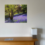 Impressão Em Tela Bluebells<br><div class="desc">Canvas com foto de bluebells em West Sussex de New Forest Fotos</div>