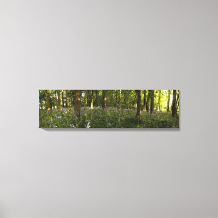 Impressão Em Tela Bluebells em uma floresta