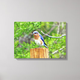 Impressão Em Tela Bluebird em Posto de cerca