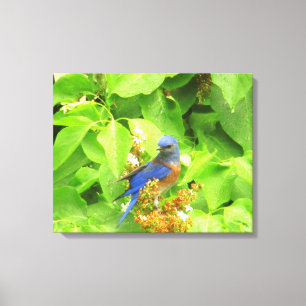 Impressão Em Tela Bluebird no limiar do Lilac
