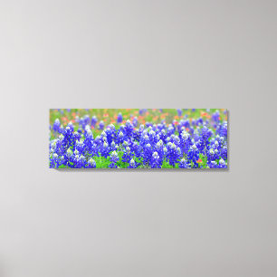 Impressão Em Tela Bluebonnets