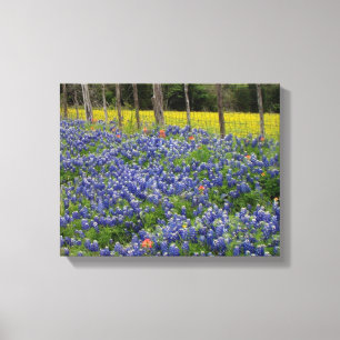 Impressão Em Tela Bluebonnets rústicos
