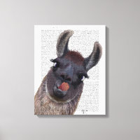 Bobo Llama