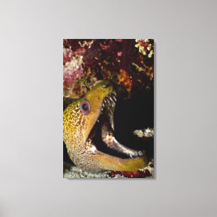 Impressão Em Tela Boca intimidante de Yellowmargin