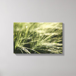 Impressão Em Tela Bokeh de Dewdrops