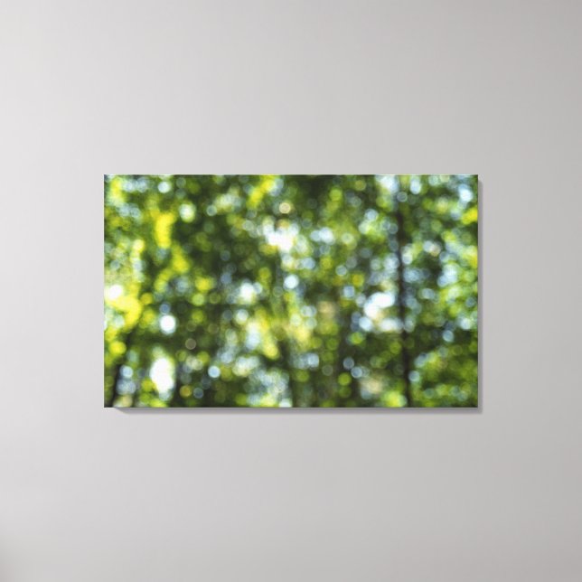 Impressão Em Tela Bokeh em Primavera (Frente)