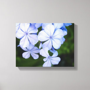 Impressão Em Tela Bokeh Floral Azul