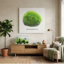 Bola de Musgo Marimo Desenhada à Mão