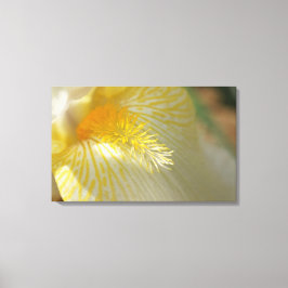 Impressão Em Tela Bom dia Iris!