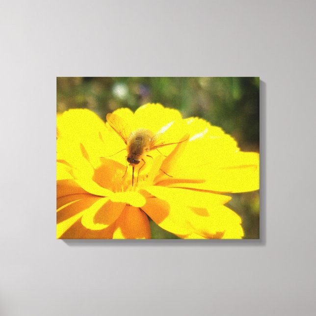 Impressão Em Tela Bombyliida Polinizou Flor Amarelo Brilhante (Frente)