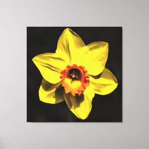 Impressão Em Tela Bonita Flor De Primavera Daffodil Amarelo Na Cinza