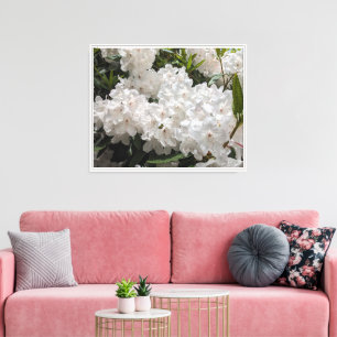 Impressão Em Tela Bonita Rhododendron Floral Branca