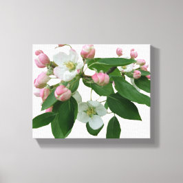 Impressão Em Tela Bonito cereja rosa flor florada linda floração mod