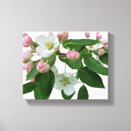 Impressão Em Tela Bonito cereja rosa flor florada linda floração mod