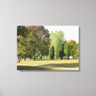 Impressão Em Tela Bonito queda deixa fotografia da arte de Wisconsin