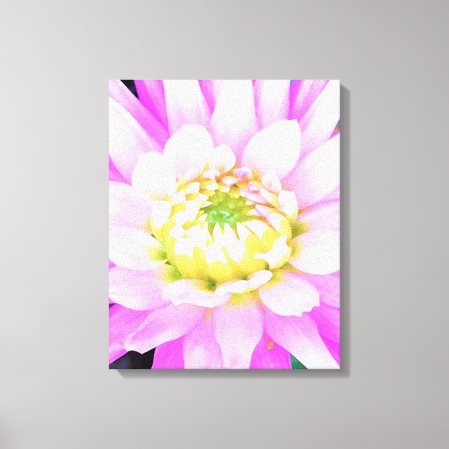 Impressão Em Tela Bonito rosa, branco e amarelo Cactus Dahlia Macro (Frente)