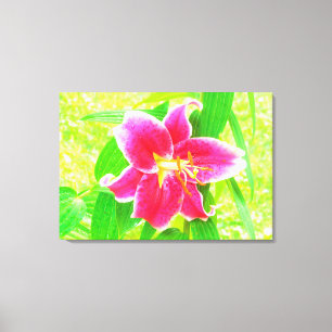 Impressão Em Tela Bonito Stargazer Rosa Profundo Lily no Verde limã