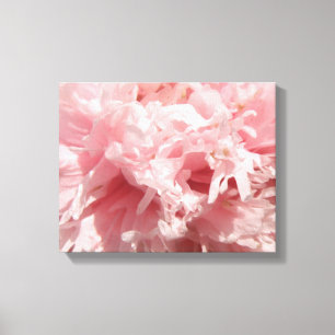 Impressão Em Tela Bonito Tela cor-de-rosa pálida