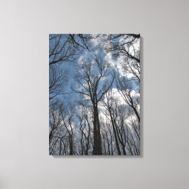 Impressão Em Tela Bonito Tulipa Árvores Poplares Céu Azul Nublado