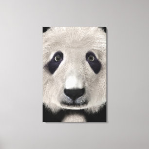 Impressão Em Tela Bonito Urso de Panda Kawaii Amante de os animais p
