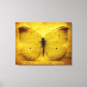 Impressão Em Tela Borboleta amarela do vintage