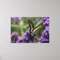 Borboleta amarela I, aspas - XL, ~ 60" x 40"