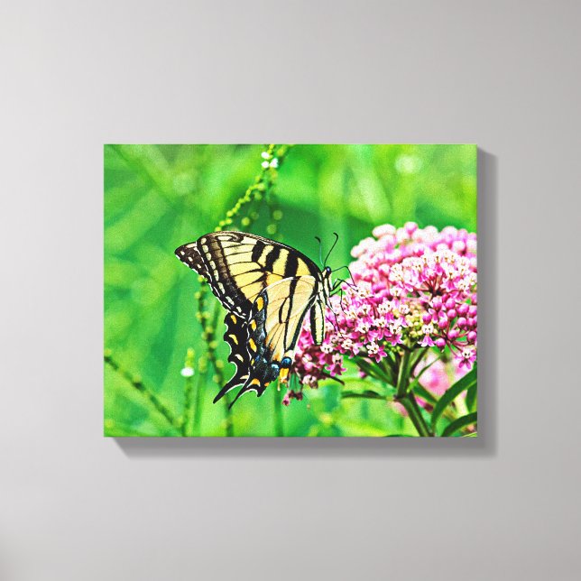 Impressão Em Tela Borboleta-de-cauda-gigante (Frente)