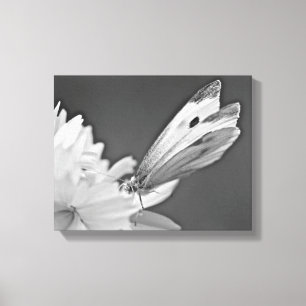 Impressão Em Tela Borboleta de couve no cosmos em preto e branco