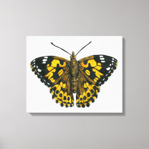 Impressão Em Tela Borboleta-de-senhora pintada