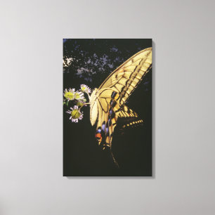 Impressão Em Tela Borboleta de Swallowtail na flor, fim acima