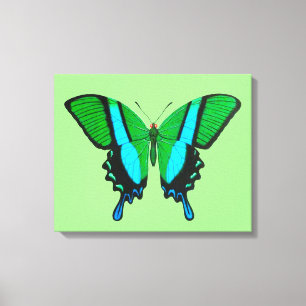Impressão Em Tela Borboleta de Swallowtail no verde, na turquesa &