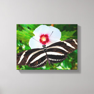 Impressão Em Tela Borboleta de zebra longwing num Coração Vermelho d